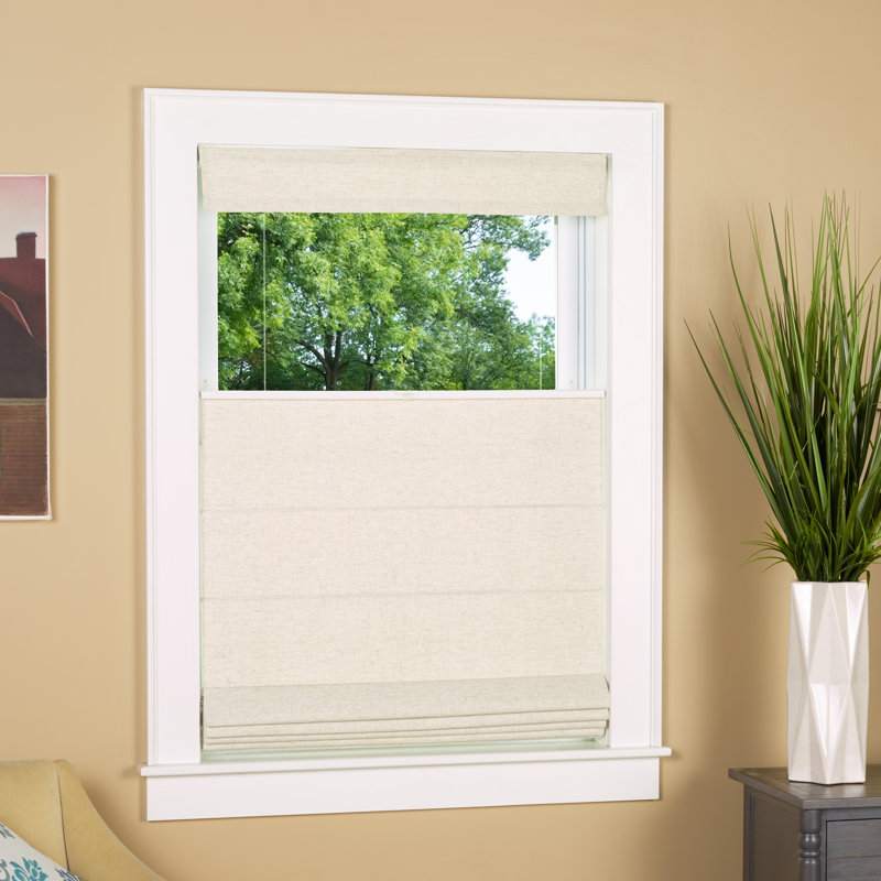 Darby Home Co Top Down Bottom Up Room Darkening Roman Shade & Reviews
